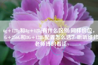 6g+128g和8g+128g有什么区别(同样价位，6G+256G和8G+128G配置怎么选？听听维修老师傅的看法)