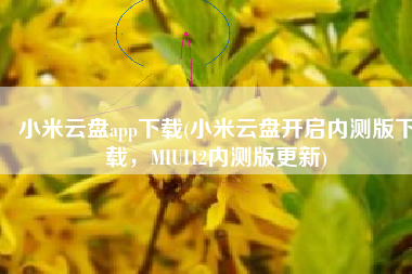 小米云盘app下载(小米云盘开启内测版下载，MIUI12内测版更新)