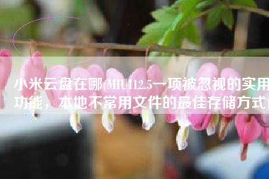 小米云盘在哪(MIUI12.5一项被忽视的实用功能，本地不常用文件的最佳存储方式)