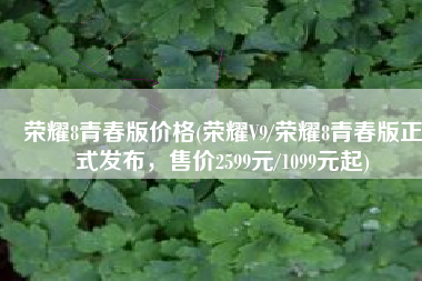 荣耀8青春版价格(荣耀V9/荣耀8青春版正式发布，售价2599元/1099元起)