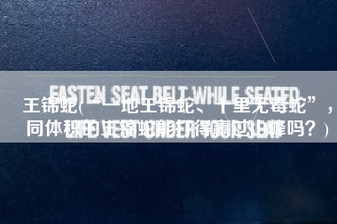 王锦蛇(“一地王锦蛇、十里无毒蛇”，同体积的王锦蛇能打得赢过山峰吗？)
