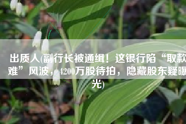 出质人(副行长被通缉！这银行陷“取款难”风波，4200万股待拍，隐藏股东疑曝光)