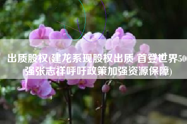 出质股权(建龙系现股权出质 首登世界500强张志祥呼吁政策加强资源保障)