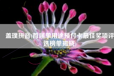 盖璞拼音(首届单用途预付卡最佳奖项评选榜单揭晓) 盖璞拼音(首届单用途预付卡最佳奖项评选榜单揭晓)