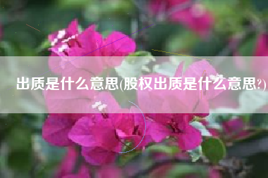 出质是什么意思(股权出质是什么意思?)