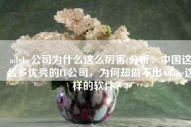 adobe公司为什么这么厉害(分析：中国这么多优秀的IT公司，为何却做不出Adobe这样的软件？)