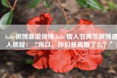 baby微博新浪微博(baby情人节再发微博遭人质疑：“所以，你们是离婚了么？”)