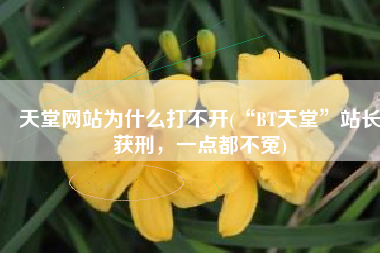 天堂网站为什么打不开(“BT天堂”站长获刑，一点都不冤)