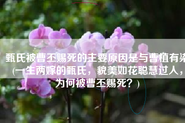甄氏被曹丕赐死的主要原因是与曹植有染(一生两嫁的甄氏，貌美如花聪慧过人，为何被曹丕赐死？)