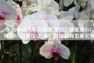 东风电动汽车新能源(东风EV新能源EX1，续航321公里仅4万多，直接放弃五菱宏光MINI)