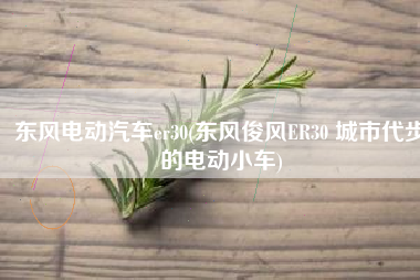 东风电动汽车er30(东风俊风ER30 城市代步的电动小车)