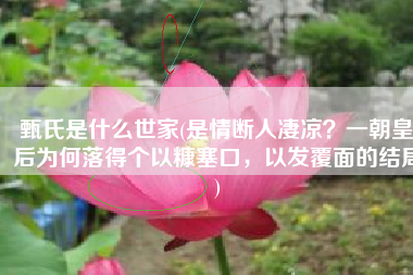 甄氏是什么世家(是情断人凄凉？一朝皇后为何落得个以糠塞口，以发覆面的结局)