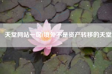 天堂网站一区(境外不是资产转移的天堂)