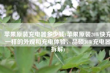 苹果原装充电器多少钱(苹果原装20W快充一样的外观和充电体验，品硕30W充电器拆解)