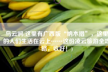 鸟云涧(这里有广西版“纳木措”，这里的人们生活在云上……这份凌云旅游全攻略，收好！)