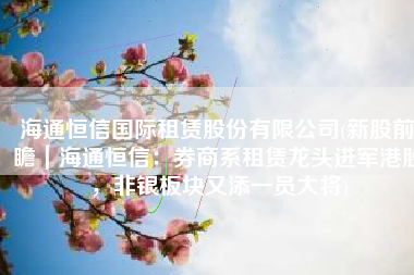 海通恒信国际租赁股份有限公司(新股前瞻｜海通恒信：券商系租赁龙头进军港股，非银板块又添一员大将)