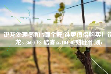 锐龙处理器和i5哪个好(谁更值得购买！锐龙5 3600 VS 酷睿i5-10400F对比评测)