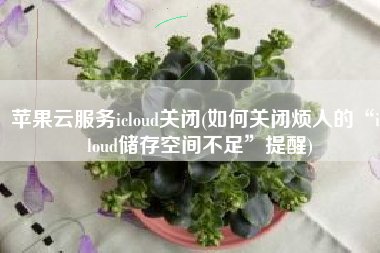 苹果云服务icloud关闭(如何关闭烦人的“iCloud储存空间不足”提醒)