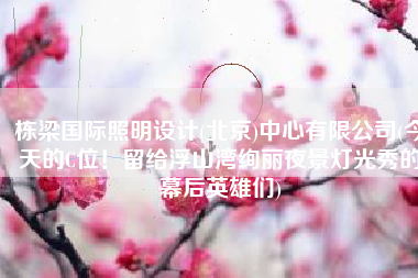 栋梁国际照明设计(北京)中心有限公司(今天的C位！留给浮山湾绚丽夜景灯光秀的幕后英雄们)