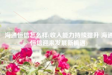 海通恒信怎么样(收入能力持续提升 海通恒信迎来发展新机遇)