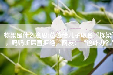 栋梁是什么意思(爸爸给儿子取名“栋梁”，妈妈听后直拒绝，网友：“这咋办？”)