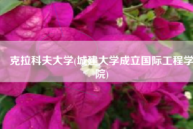 克拉科夫大学(城建大学成立国际工程学院)