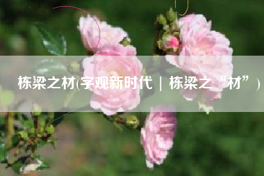 栋梁之材(字观新时代 | 栋梁之“材”)