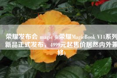 荣耀发布会 magic 4(荣耀MagicBook V14系列新品正式发布，4999元起售价居然内外兼修)