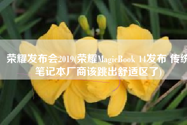 荣耀发布会2019(荣耀MagicBook 14发布 传统笔记本厂商该跳出舒适区了)