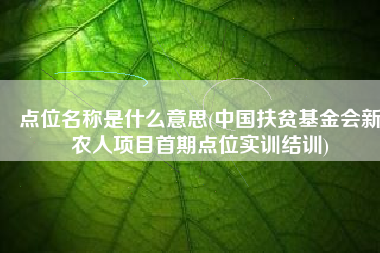 点位名称是什么意思(中国扶贫基金会新农人项目首期点位实训结训)