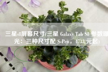 三星s8屏幕尺寸(三星 Galaxy Tab S8 参数曝光：三种尺寸配 S-Pen，4733 元起)