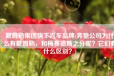 戴姆勒集团旗下汽车品牌(奔驰公司为什么有戴姆勒，和梅赛德斯之分呢？它们有什么区别？)