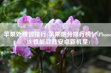 苹果处理器排行(苹果跑分排行榜，iPhone 13 性能战胜安卓新机皇)