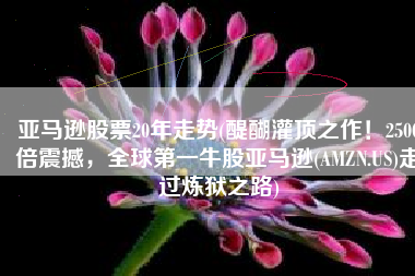 亚马逊股票20年走势(醍醐灌顶之作！2500倍震撼，全球第一牛股亚马逊(AMZN.US)走过炼狱之路)