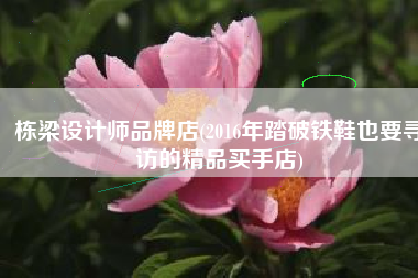 栋梁设计师品牌店(2016年踏破铁鞋也要寻访的精品买手店)