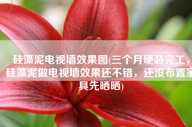 硅藻泥电视墙效果图(三个月硬装完工，硅藻泥做电视墙效果还不错，还没布置家具先晒晒)
