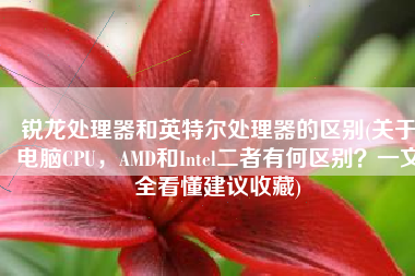 锐龙处理器和英特尔处理器的区别(关于电脑CPU，AMD和Intel二者有何区别？一文全看懂建议收藏)
