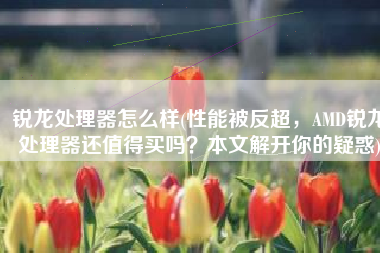 锐龙处理器怎么样(性能被反超，AMD锐龙处理器还值得买吗？本文解开你的疑惑)