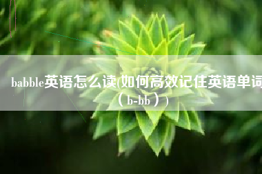 babble英语怎么读(如何高效记住英语单词（b-bb）)