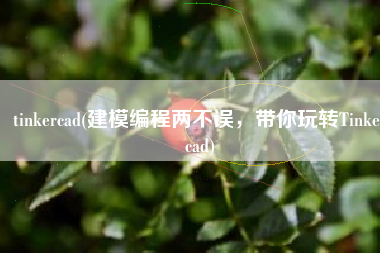 tinkercad(建模编程两不误，带你玩转Tinkercad)