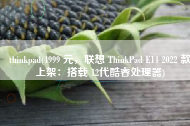 thinkpad(4999 元，联想 ThinkPad E14 2022 款上架：搭载 12代酷睿处理器)
