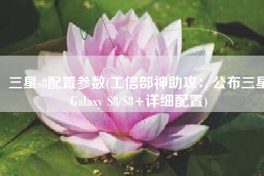 三星s8配置参数(工信部神助攻：公布三星Galaxy S8/S8+详细配置)