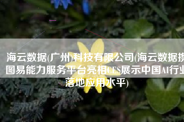 海云数据(广州)科技有限公司(海云数据携图易能力服务平台亮相CES展示中国AI行业落地应用水平)