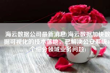 海云数据公司最新消息(海云数据加快数据可视化的技术落地，已解决公安系统40个细分领域业务问题)