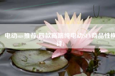 电动suv推荐(四款高端纯电动SUV商品性横评)