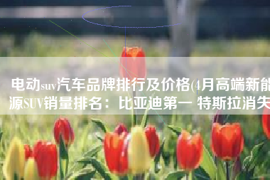 电动suv汽车品牌排行及价格(4月高端新能源SUV销量排名：比亚迪第一 特斯拉消失)