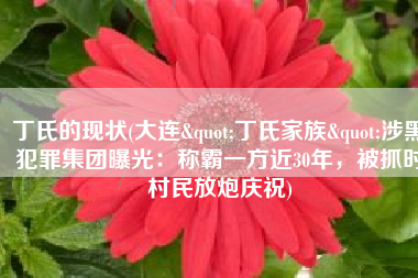 丁氏的现状(大连"丁氏家族"涉黑犯罪集团曝光：称霸一方近30年，被抓时村民放炮庆祝)
