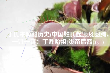 丁氏来源和历史(中国姓氏起源及图腾，一姓一讲：丁姓始祖(炎帝后裔))。)