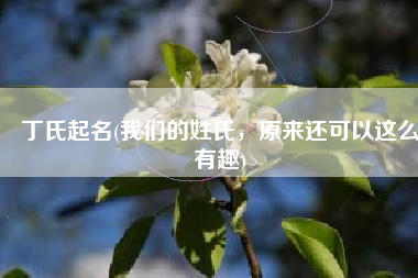 丁氏起名(我们的姓氏，原来还可以这么有趣)