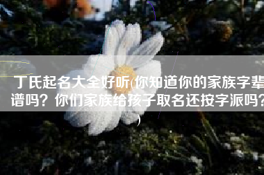丁氏起名大全好听(你知道你的家族字辈谱吗？你们家族给孩子取名还按字派吗？)